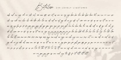 Betalisa Font Poster 11