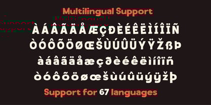 Souprice Font Poster 13
