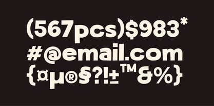 Souprice Font Poster 14