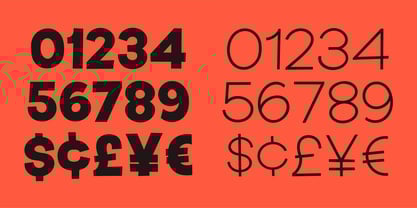 Souprice Font Poster 8