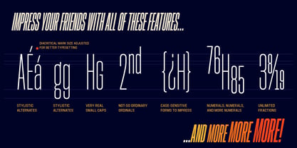Hype 1300 Font Poster 6