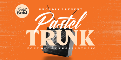Pastel Trunk Font Poster 1