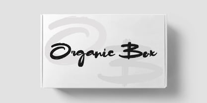 Surty Bribe Font Poster 6