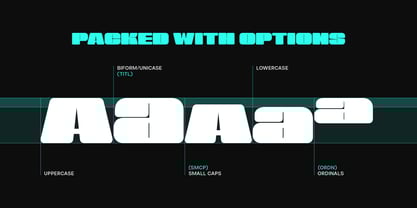 Sneakers Max 100 Font Poster 2