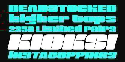 Sneakers Max 100 Font Poster 6