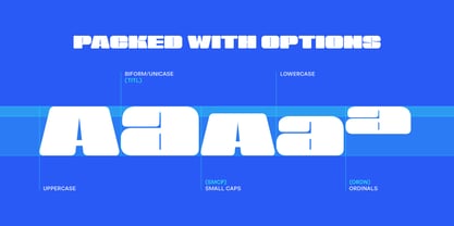 Sneakers Max 200 Font Poster 5