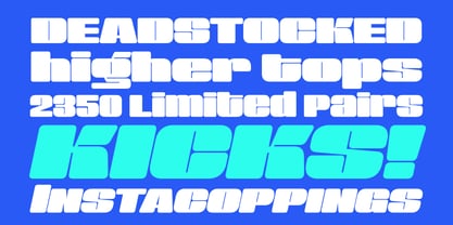 Sneakers Max 200 Font Poster 4