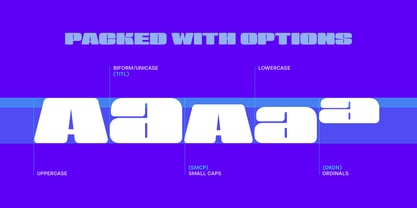 Sneakers Max 300 Font Poster 2