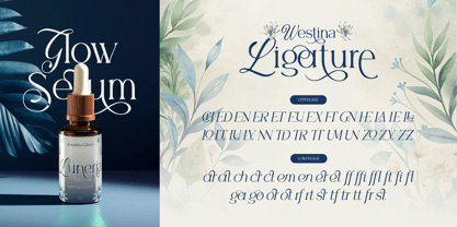 Westina Font Poster 9