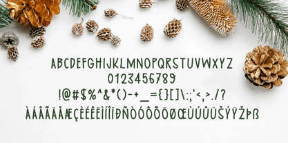 Celebrate Holiness Font Poster 5