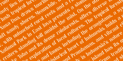 Midnight Quincy Font Poster 8