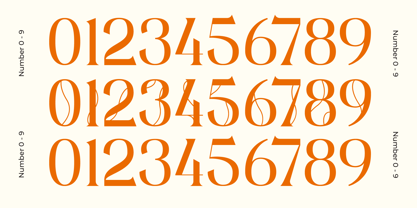 Midnight Quincy Font Poster 9