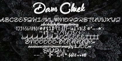 Dam Chiek Font Poster 2