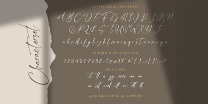 Cinta Sehatti Font Poster 7