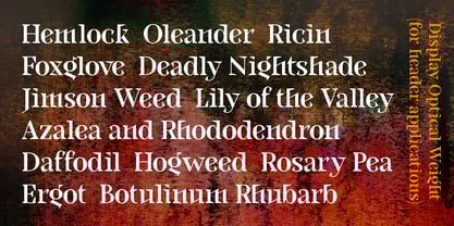 Locusta Font Poster 7