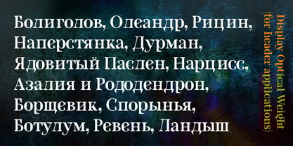 Locusta Font Poster 10