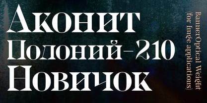 Locusta Font Poster 9