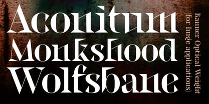 Locusta Font Poster 6