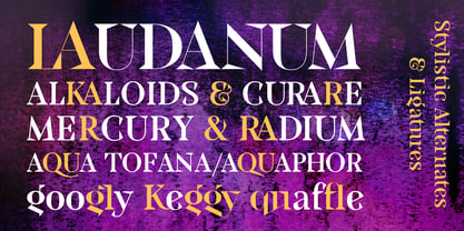 Locusta Font Poster 8