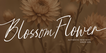 Right Smith Font Poster 8