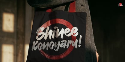 Tenshoku Font Poster 8