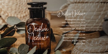 Italian Delight Font Poster 6