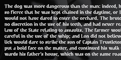 Ironia Font Poster 6