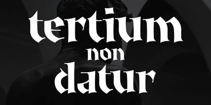 Ironia Font Poster 4