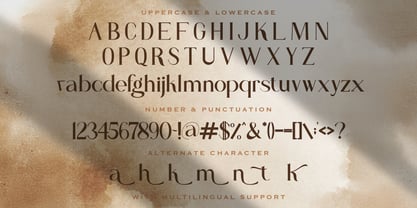 Sandy King Font Poster 8