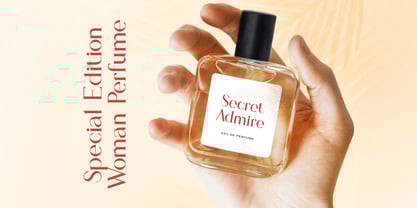 Sandy King Font Poster 7