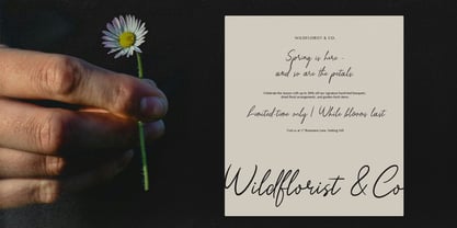 Sekar Wangi Font Poster 3