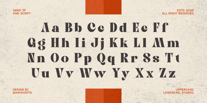 Alicer Script Font Poster 5