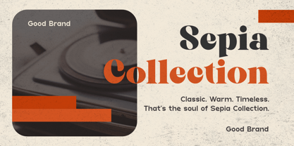 Alicer Script Font Poster 10