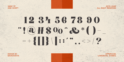 Alicer Script Font Poster 6