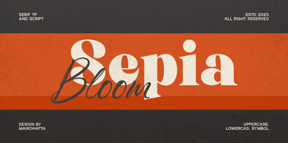 Alicer Script Font Poster 4