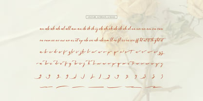 Waiting Cassey Font Poster 12