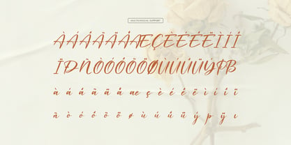 Waiting Cassey Font Poster 11