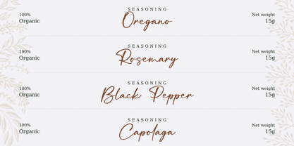 Balistica Signatura Font Poster 2