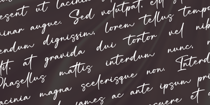 Balistica Signatura Font Poster 3