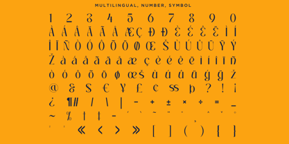 Mochira Font Poster 13