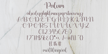 Palum Font Poster 7