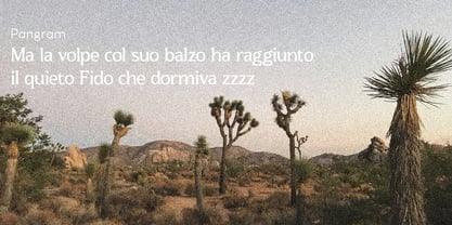 Macala De Club Font Poster 10