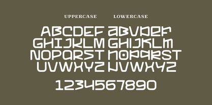 Roamer Isme Font Poster 5