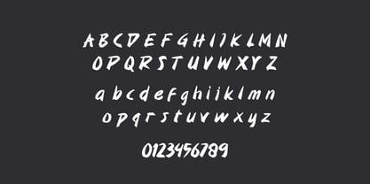 Noka Brush Font Poster 5