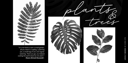 Lovely Words Font Poster 3