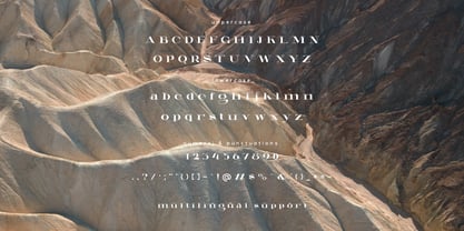 Celarin Font Poster 8