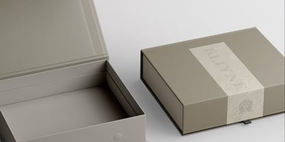 Celarin Font Poster 9