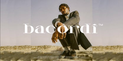 Celarin Font Poster 7