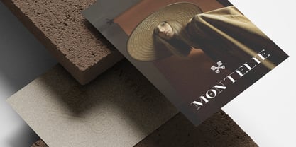 Celarin Font Poster 3