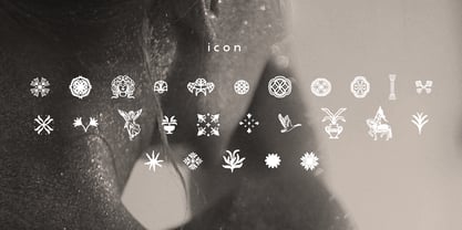 Celarin Font Poster 6